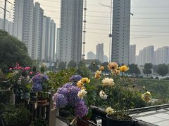 -耕渔小院·湖南鱼鲜(望城店)