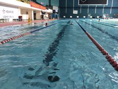 -重庆市奥林匹克体育中心-游泳跳水馆
