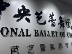 -中央芭蕾舞团·中芭艺蕾(酒仙桥明星校区)