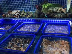 水产区-必点海鲜·鲅鱼水饺(鞍山西道店)
