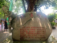 -一寨两国风景区