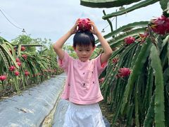 -尚果生态采摘园