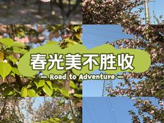 -食为先庐畔渔歌(合作化路店)