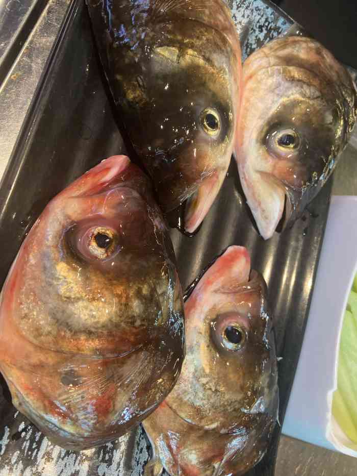 聚宝金粼天麻鱼头煲(聚宝渔村万科广场店)-"几好,芝士牛丸好好食,而且