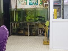 -凯盈阁·顺德私房菜·桑拿鸡