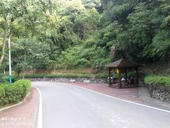 -火炉山森林公园