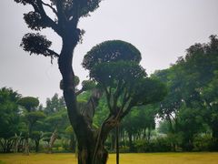-南宁南湖公园