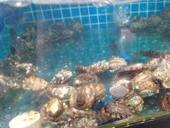 -四川小胡子海鲜(丁村万人海鲜广场店)