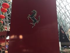 -法拉利主题公园