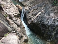 -广州白江湖森林公园