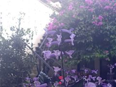 -浔岚云舍mist静谧观景美宿(丽江古城店)