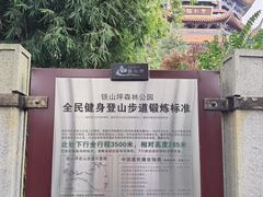 -铁山坪森林公园