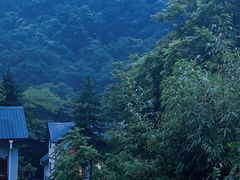 -陕西省红河谷森林公园