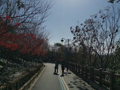 -杭州半山国家森林公园