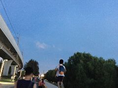 -宝安西湾红树林湿地公园