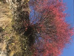 -叠溪松坪沟景区