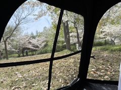 -新江湾城公园