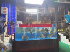 -明本湛江鸡•海鲜小厨(陈家祠店)