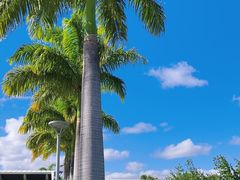 -珍珠港国家纪念馆