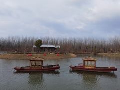 -合肥滨湖国家森林公园