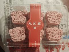 -九芝斋(解放路店)