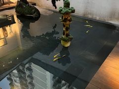 -觀芷隐轩