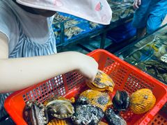 -船奇蒸汽海鲜·闽菜(八市海鲜总店)