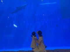 -华夏文旅海洋公园