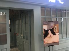 门面-安格丽娜·狗咖·猫咖羊驼咖(春熙路百盛商场店)