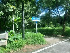 -广州市帽峰山景区