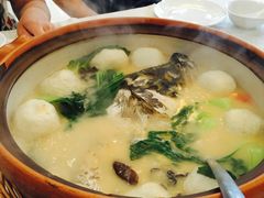 砂锅鱼头-九福楼大酒店