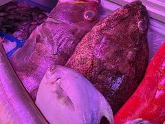 -金砂阿洲鱼册店