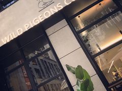 -野鸽子咖啡(中航店)