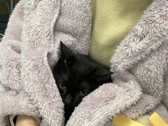 -美联众合动物医院(·中兽医·疑难杂症·严家桥分院)