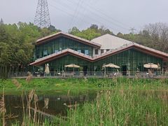 -西湖风景区-江洋畈生态公园