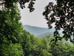 -灵隐飞来峰景区