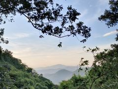 -黄埔油麻山森林公园