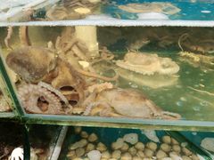 -仙螺岛海鲜自助餐厅(总店)