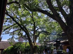 -阿育王寺