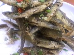 -全乐鱼馆·淳牌有机鱼直营店
