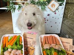 -蜀大侠火锅(春熙路店)