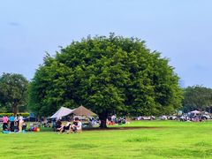 -中山公园(石岐街道)