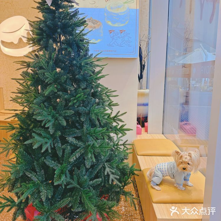 哪吒探店｜今天也要甜蜜满分！舒芙蕾吃起来～