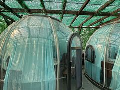 -遇见阿家村云南菜(魏公村店)