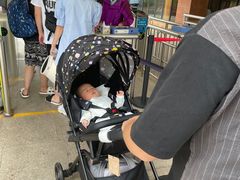 -世界恐龙谷景区