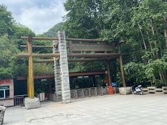 -牛背梁国家森林公园