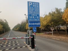 -塘沽森林公园