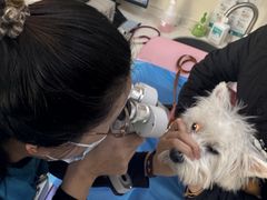 -美联众合动物医院·24h京西诊疗中心