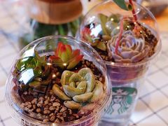 -星巴克臻选(济南恒隆店)