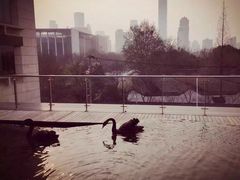 -行者书屋大堂吧 ·下午茶(南京圣和府邸酒店)